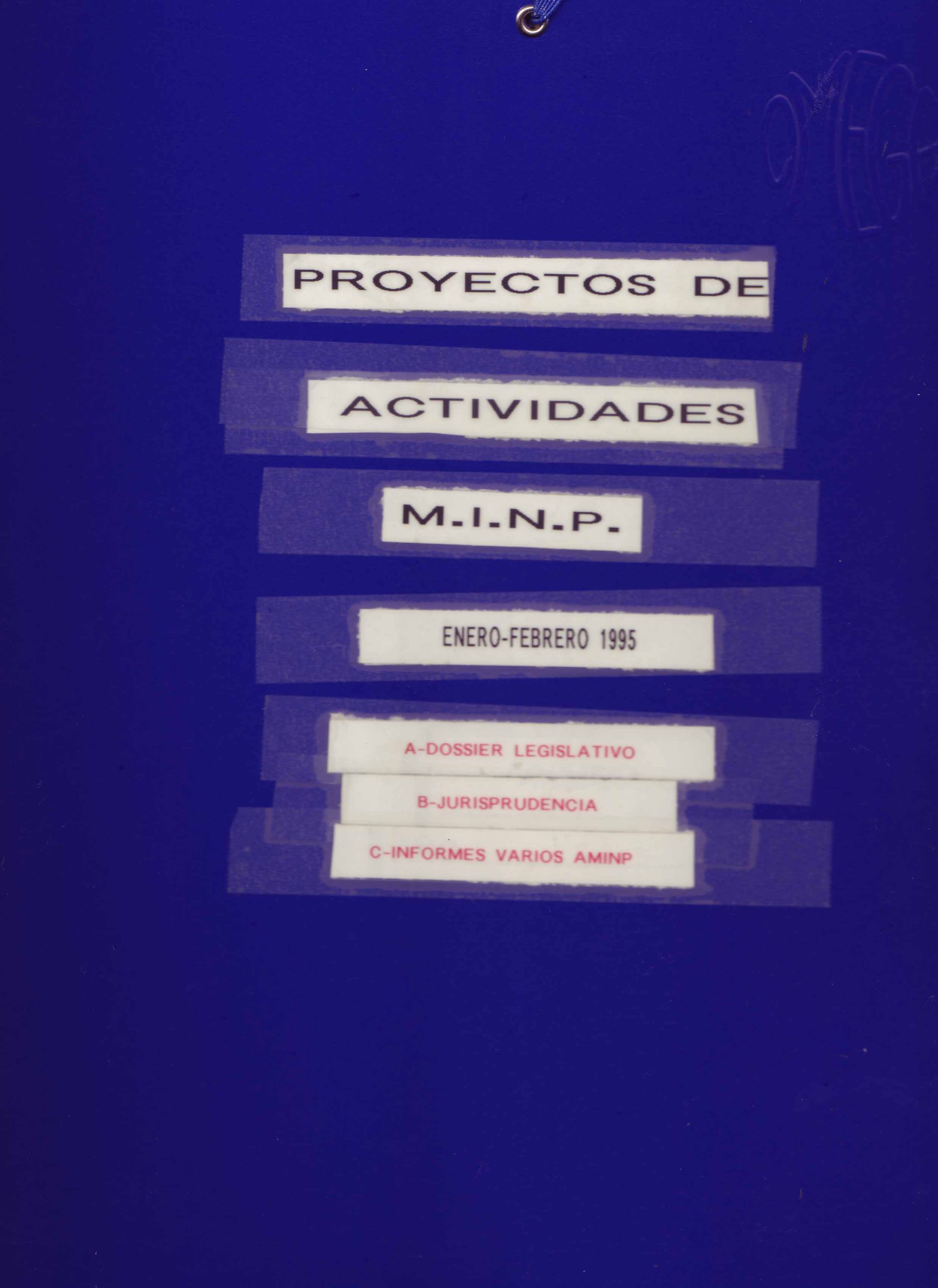 PROYECTOS DE ACTIVIDADES M.I.N.P.