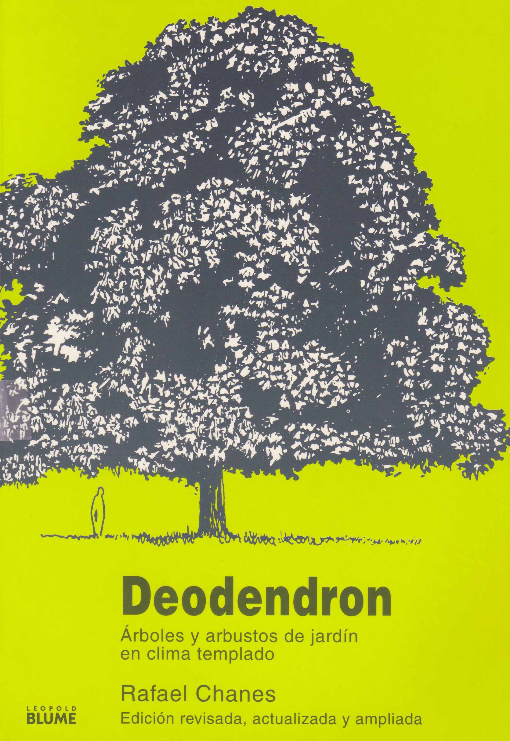 DEODENDRON, ARBOLES Y ARBUSTOS DE JARDIN EN CLIMA TEMPLADO