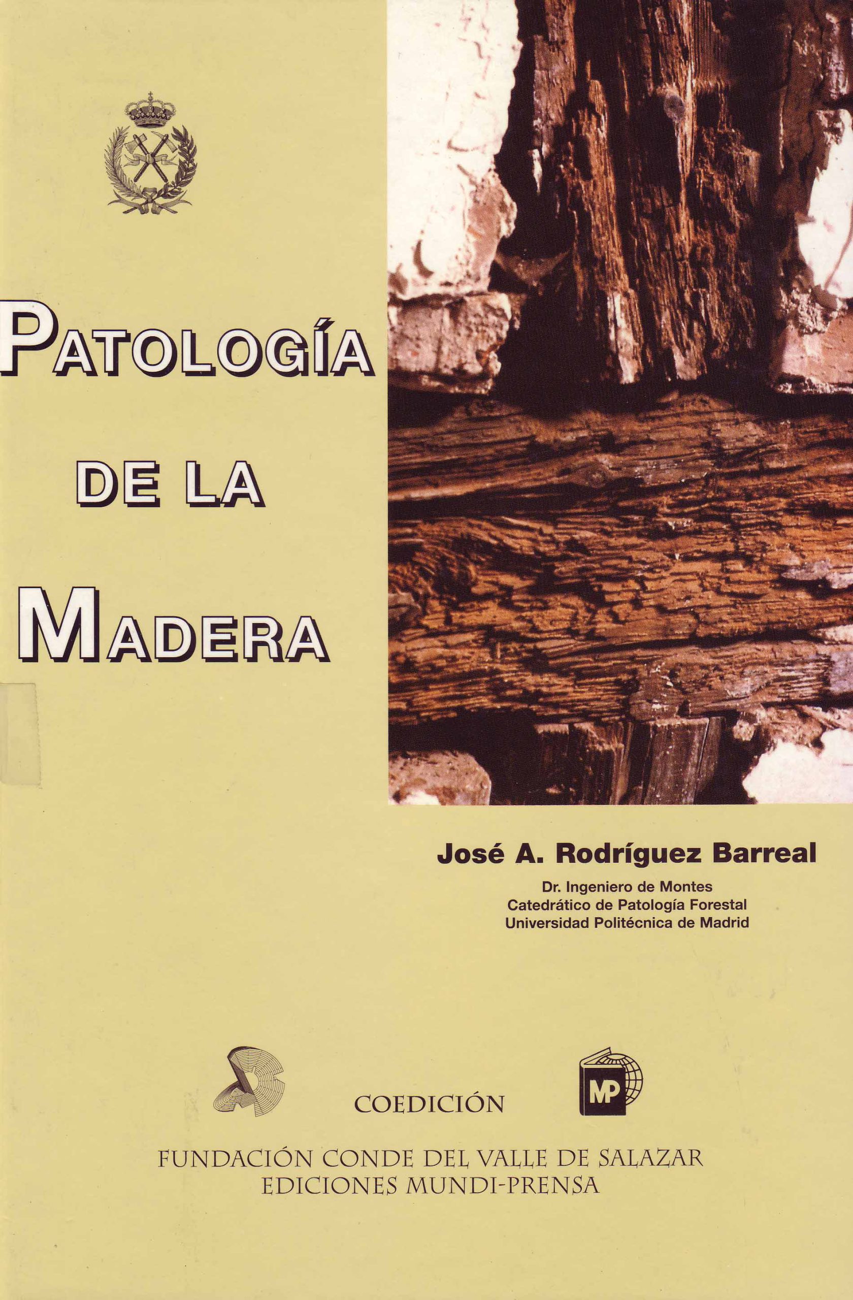 PATOLOGIA DE LA MADERA