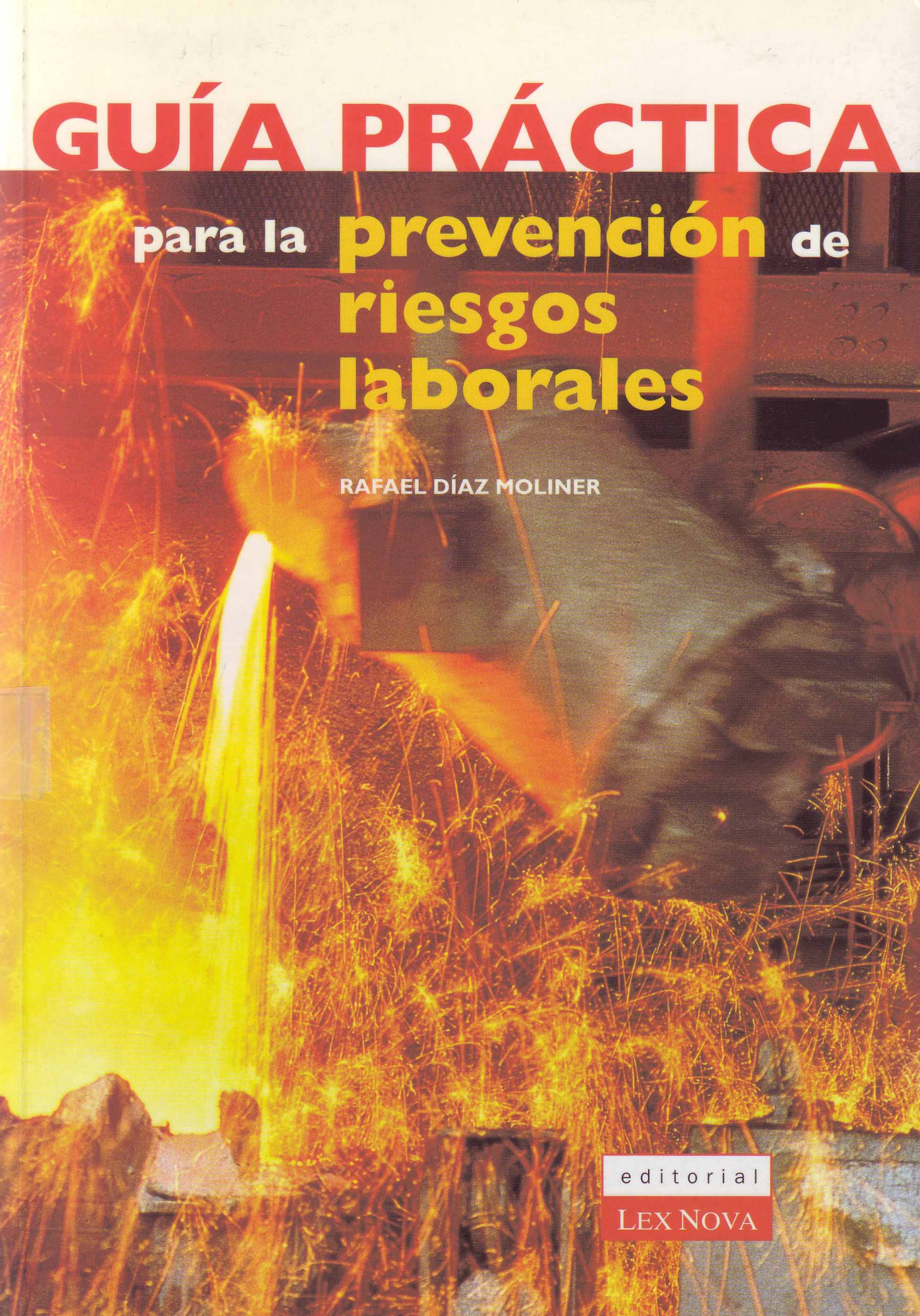 GUIA PRACTICA PARA LA PREVENCION DE RIESGOS LABORALES