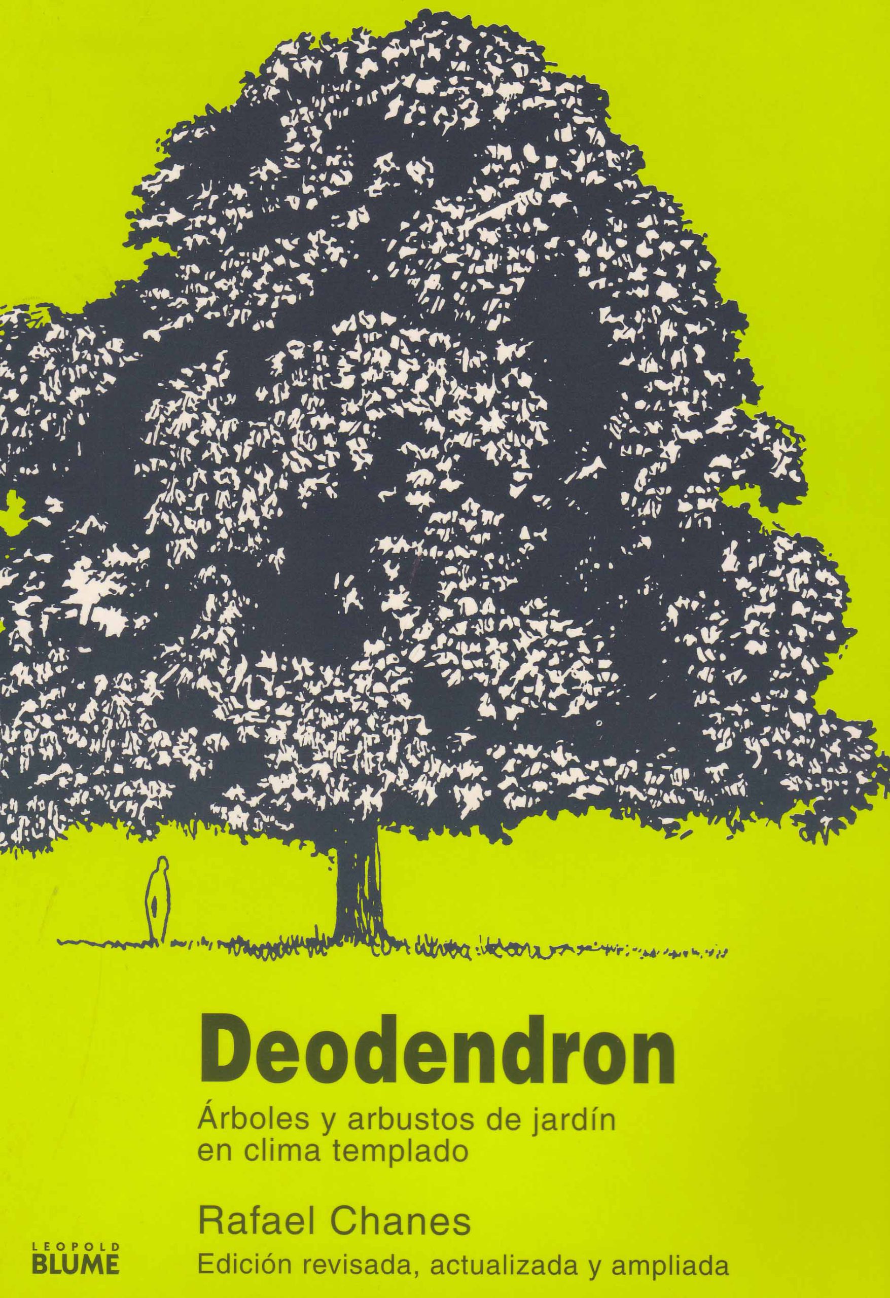 DEODENDRON. ARBOLES Y ARBUSTOS DE JARDIN EN CLIMA TEMPLADO